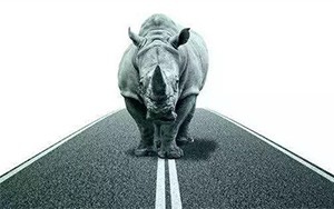 臣通觀點(diǎn)丨小心，中國產(chǎn)業(yè)園區(qū)的“灰犀牛”又來了！