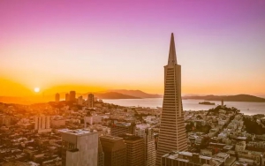 2019，產(chǎn)業(yè)園區(qū)的五大分水嶺